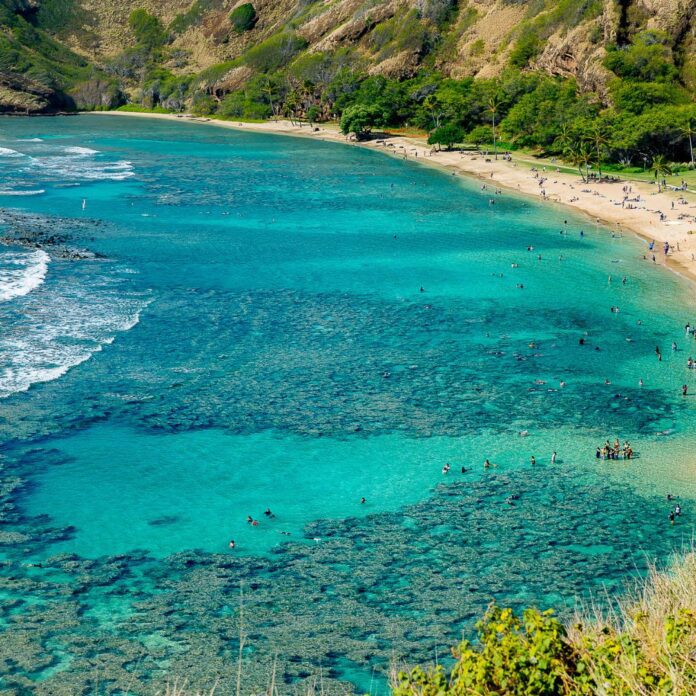 a beach with people swimming in the water