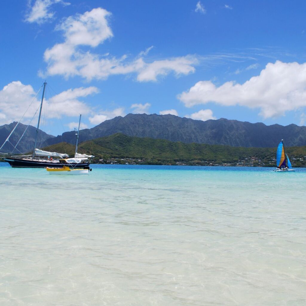 15 Best Snorkel Tours On Oahu | Book These Early