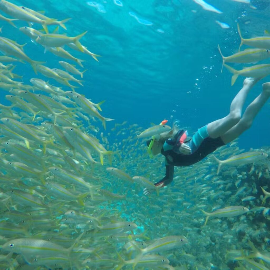 15 Best Snorkel Tours On Oahu | Book These Early