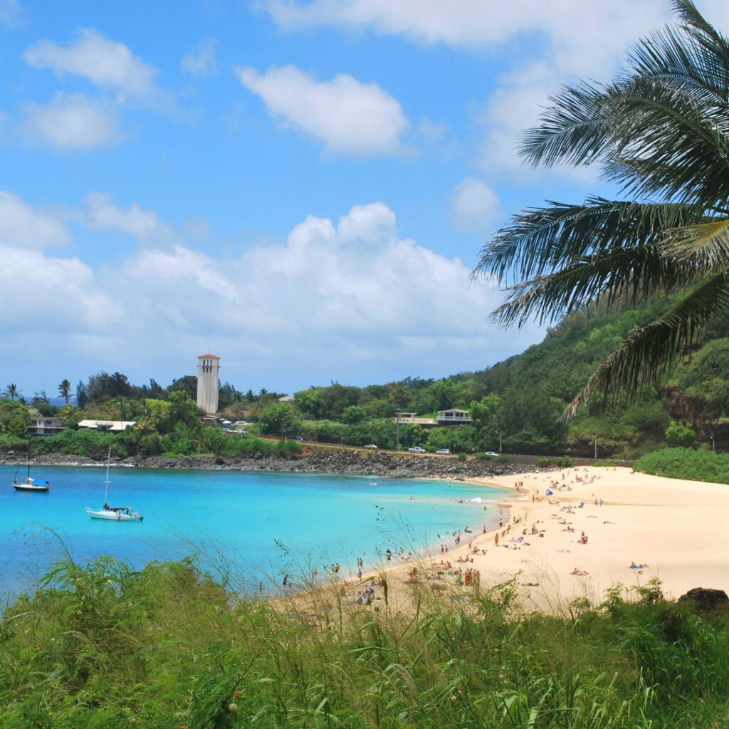 15 Best Snorkel Tours On Oahu | Book These Early