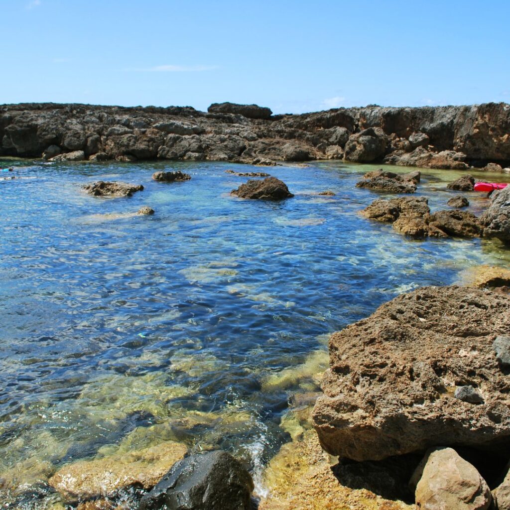 15 Best Snorkel Tours On Oahu | Book These Early