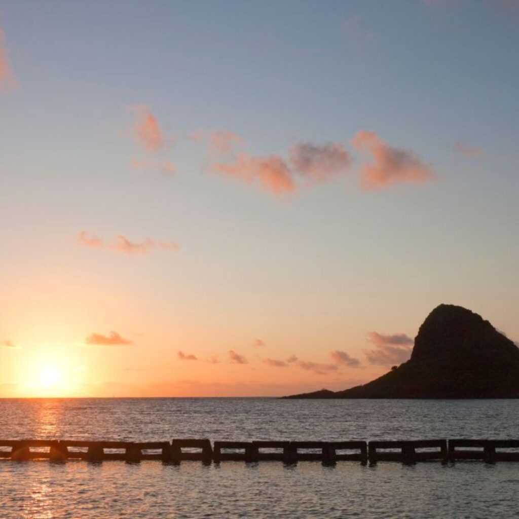 15 Best Snorkel Tours On Oahu | Book These Early