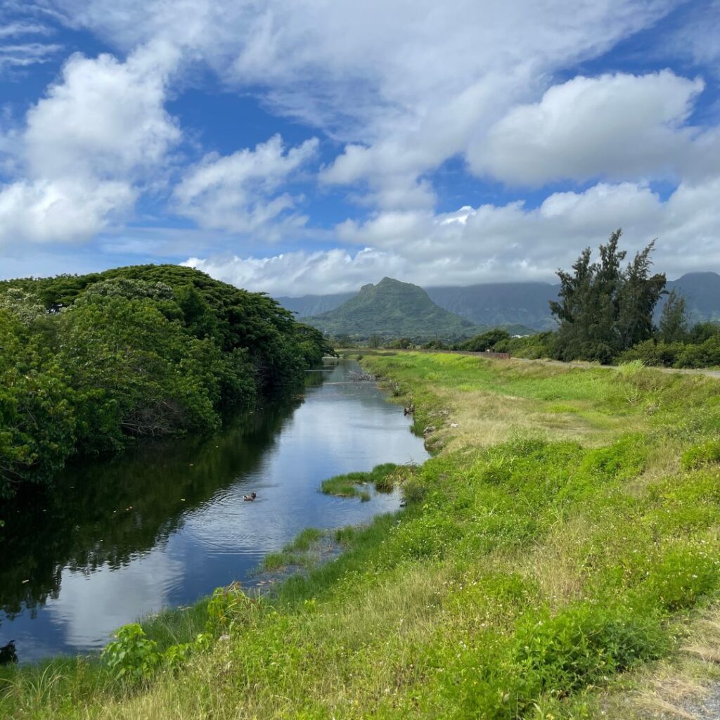 Hui O Ko’olaupoko | Protecting The Ocean By Caring For The Land On Oahu