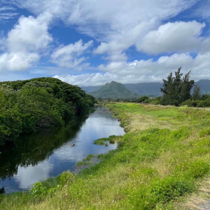 a river running through a grassy area
