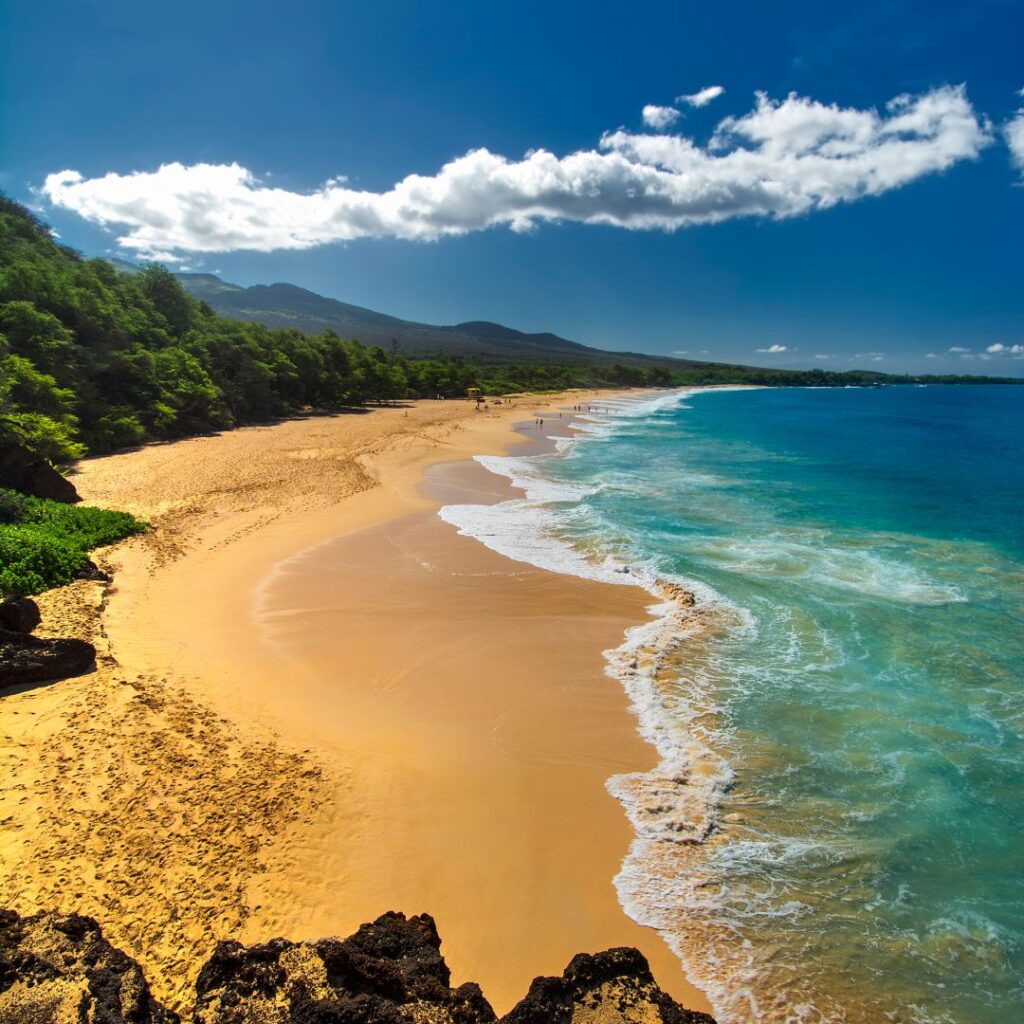 Snorkeling on Maui: The Ultimate Guide To 27 Amazing Spots