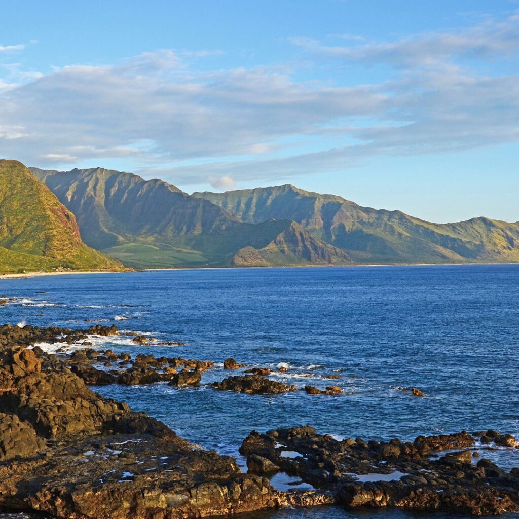 15 Best Snorkel Tours On Oahu | Book These Early