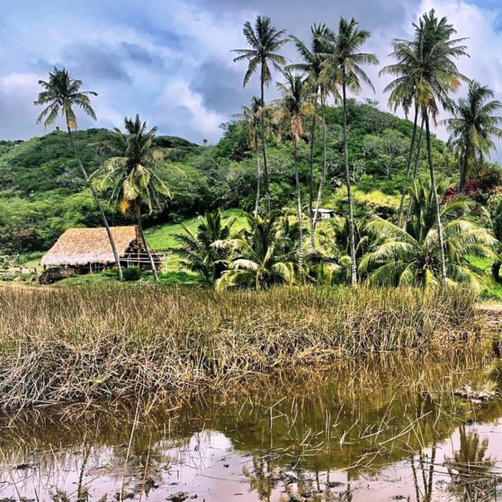 Guide to Volunteering on Oahu: 14 Unforgettable Ways to Give Back