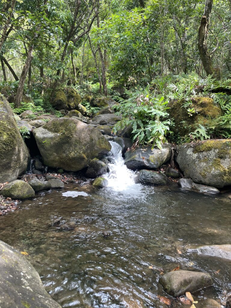 Kalalau Trail Adventure: My Unforgettable Hiking Experience on Kaua’i