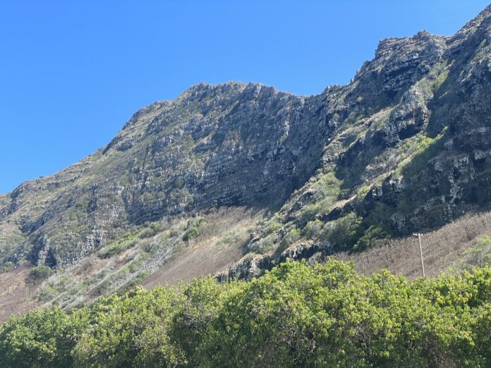 a mountain with trees in the background
