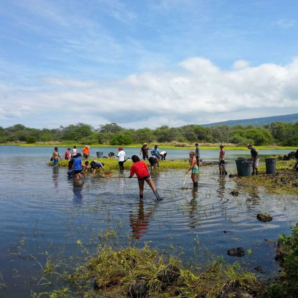 Guide to Volunteering on Oahu: 14 Unforgettable Ways to Give Back