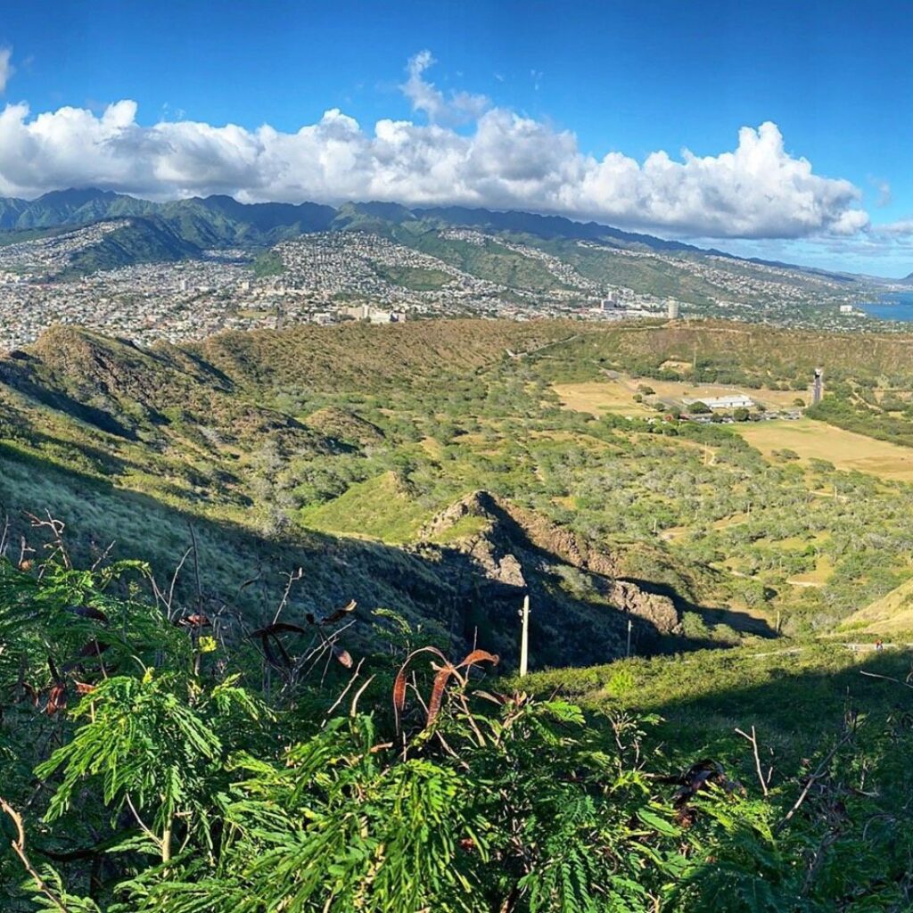 Guide to Volunteering on Oahu: 14 Unforgettable Ways to Give Back