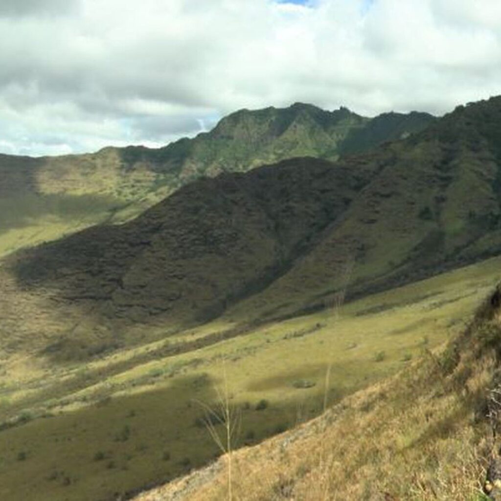 Guide to Volunteering on Oahu: 14 Unforgettable Ways to Give Back