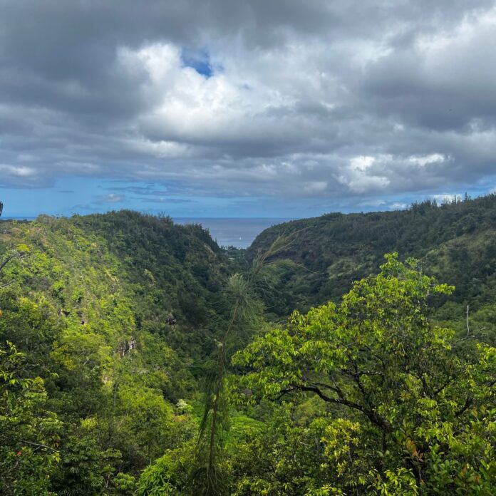 a view of a valley with trees and a body of water