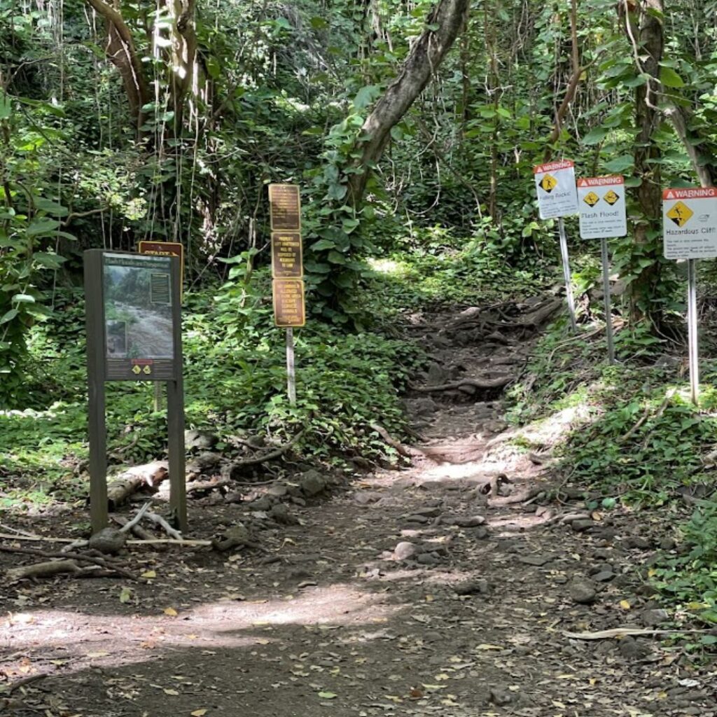 Kalalau Trail Guide: Planning Your Ultimate Hiking Adventure