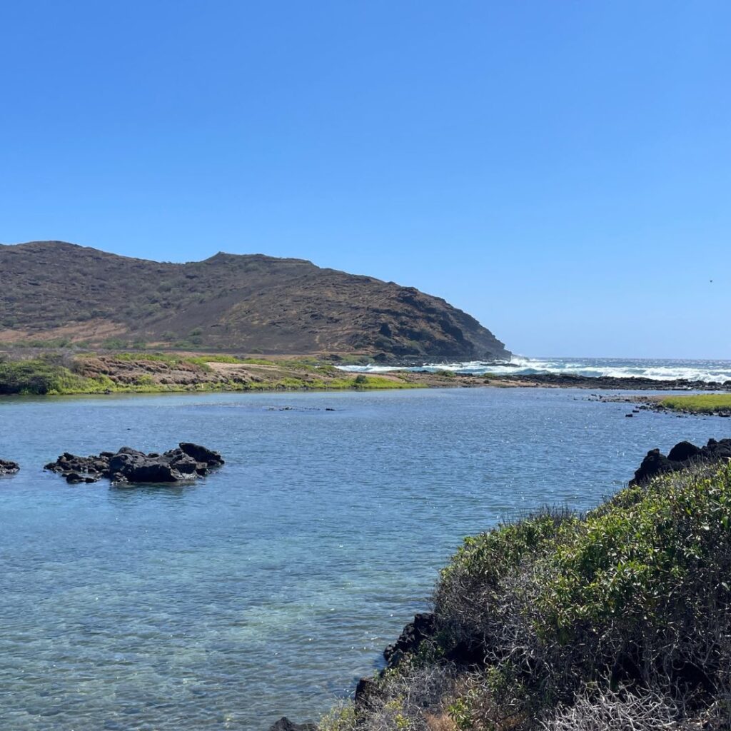 Beautiful view of the Kaloko Inlet running off into the ocean. We saw this as volunteers of the Kaloko Inlet Restoration project.