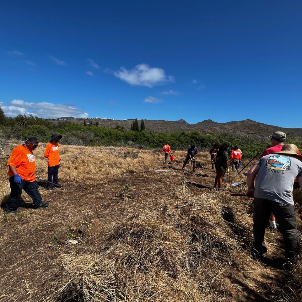 Kaloko Inlet Restoration: The Ultimate Coastal Volunteer Opportunity