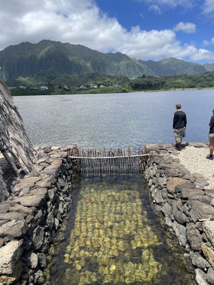 people standing on a rocky shore next to a body of water