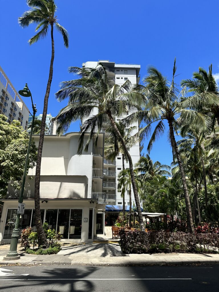 a building with palm trees and a street light