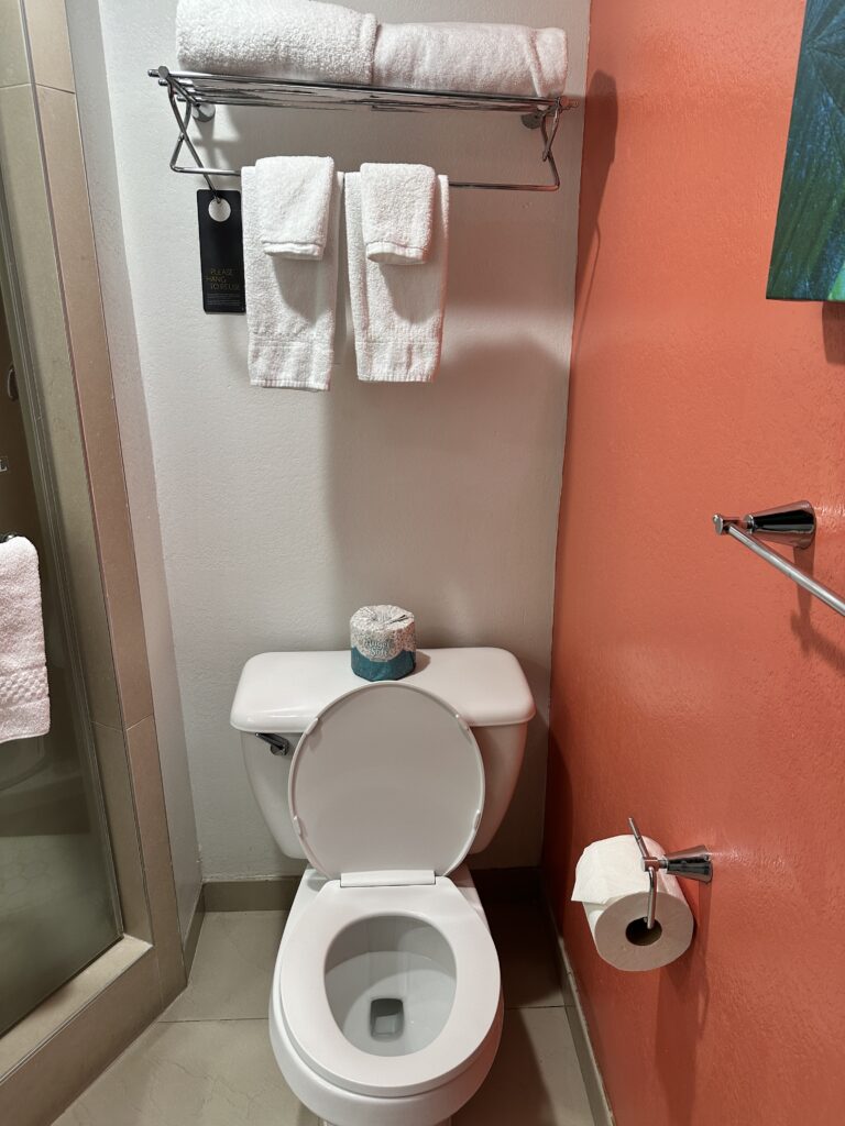 a toilet with a towel rack and a towel holder