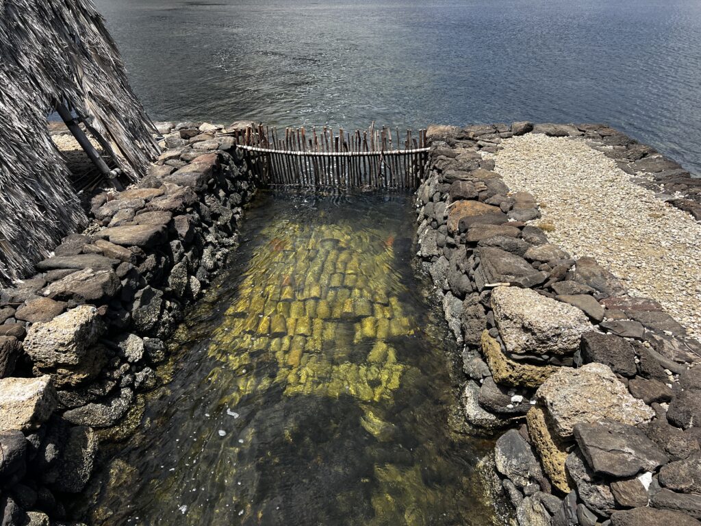 He’eia Fishpond Volunteer Opportunities: Participate in Ancient Aquaculture