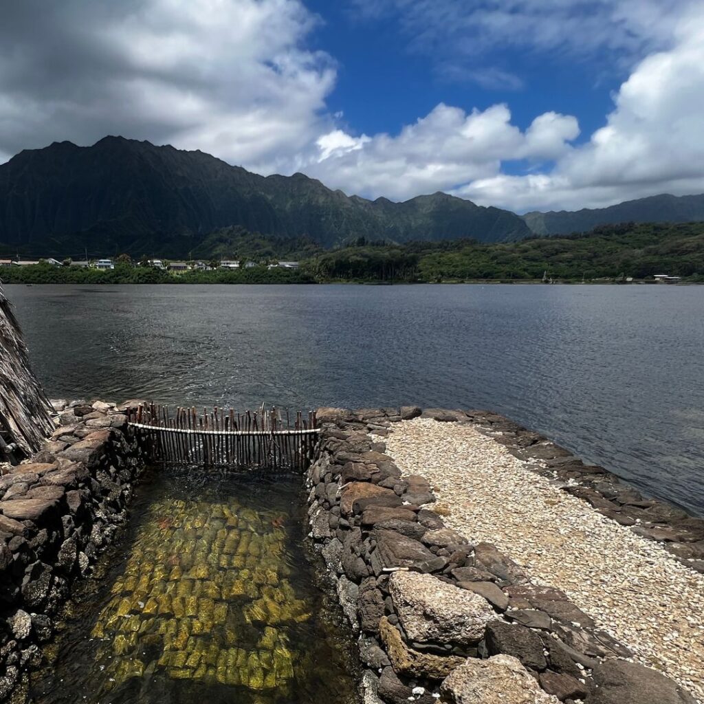 View of the Ko'olau Mountains from the fishpond wall, only accessible by being a He'eia Fishpond Volunteer.