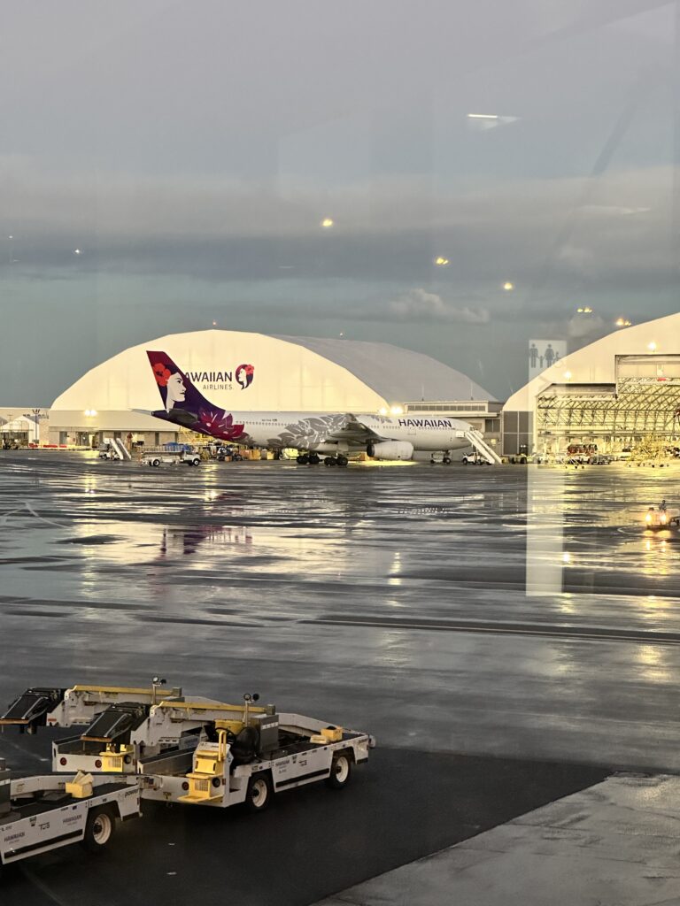 Review: Hawaiian Airlines Honolulu to Hilo | Boeing 717 | HNL-ITO