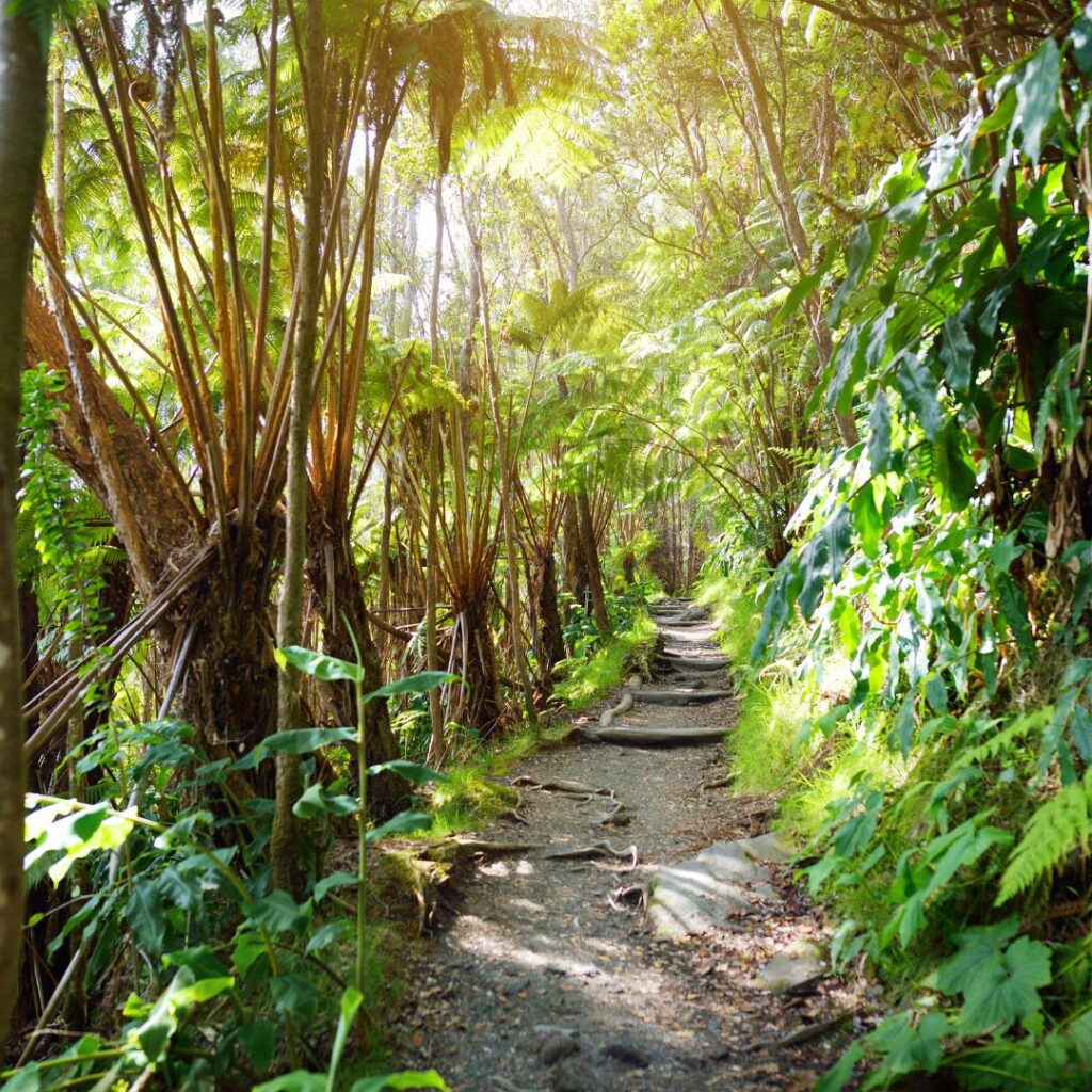 Day Trip from Oahu to Volcano National Park | Incredible Island Hopping