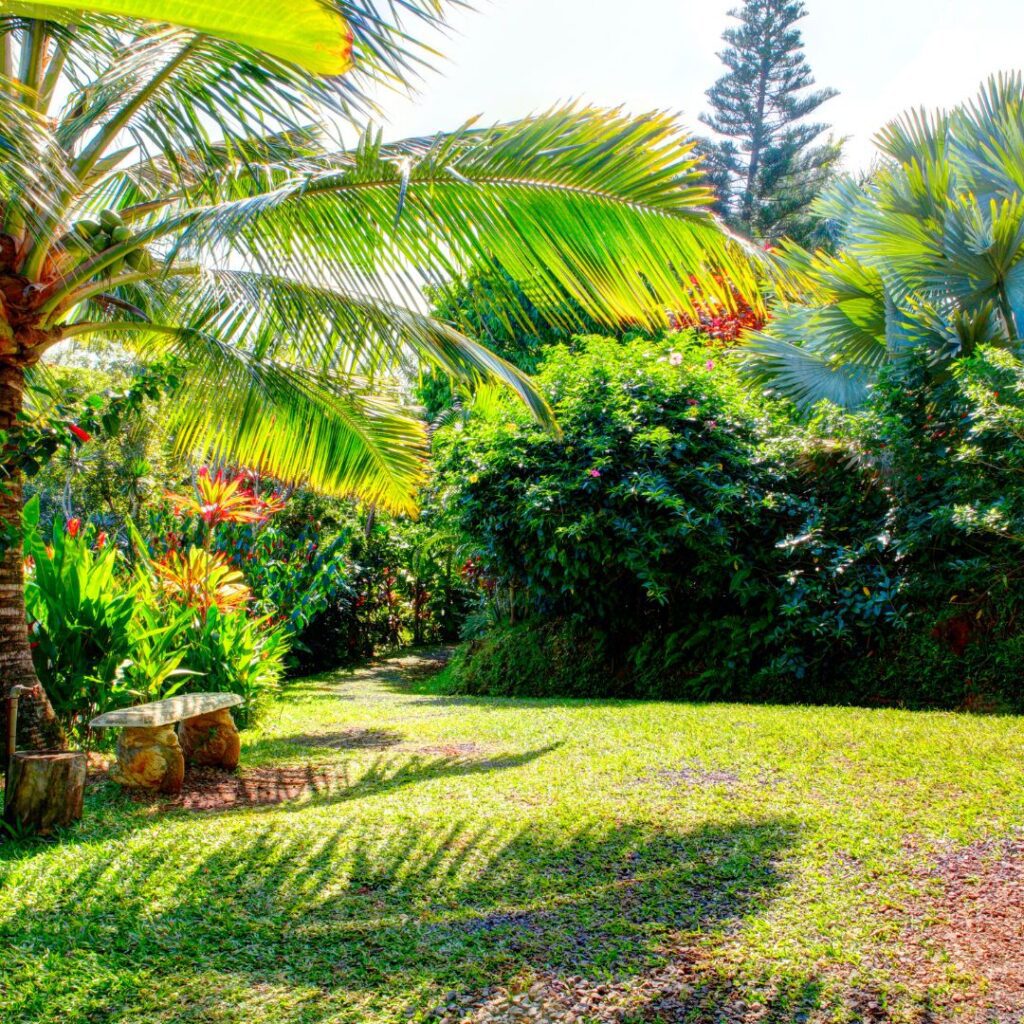 a green lawn with trees and bushes