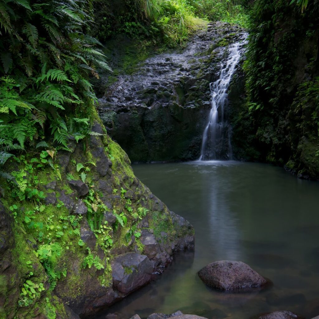 10 Spectacular Waterfall Hikes on Oahu