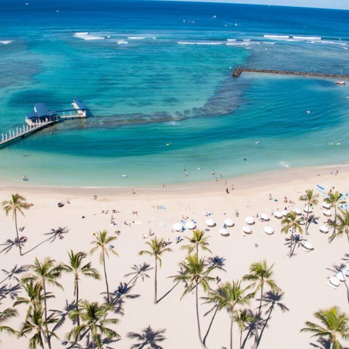 a beach with palm trees and a dock
