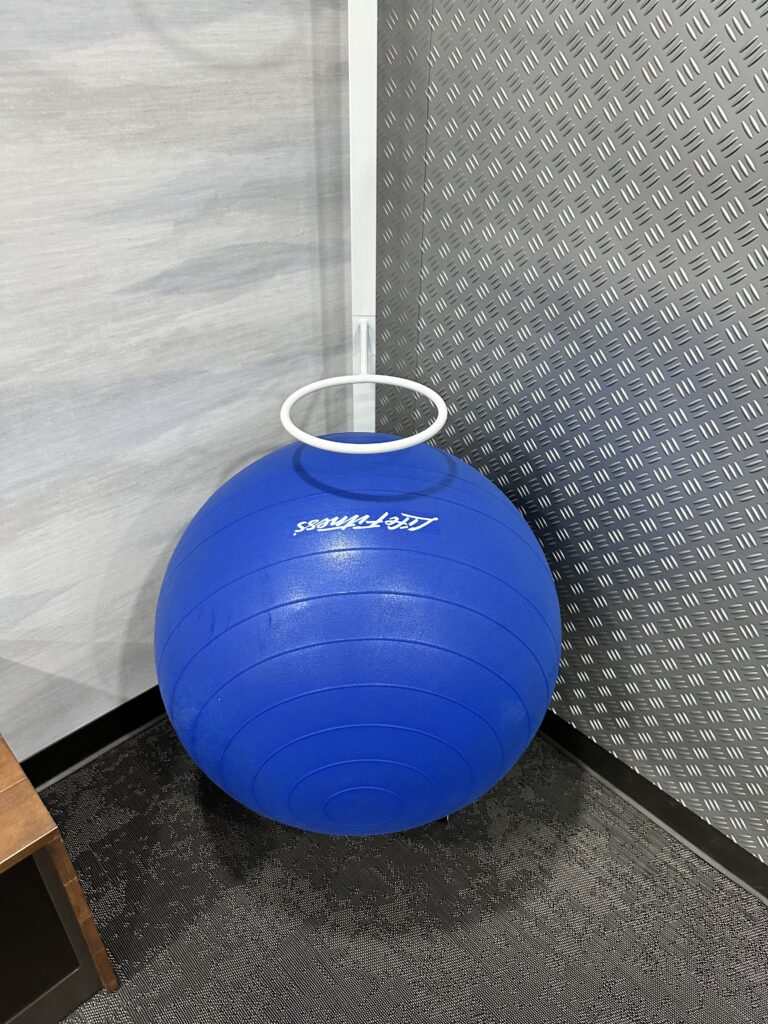 a blue exercise ball with a ring around it